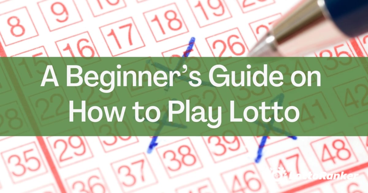 Una guida per principianti su come giocare al lotto